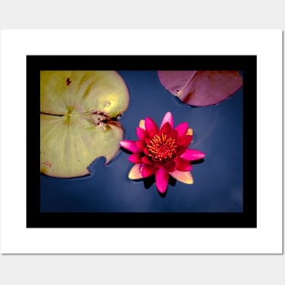 Meditation Wall Art Print - Water Lily Meditation - canvas, Photo print, artboard print, poster Canvas Print Posters and Art